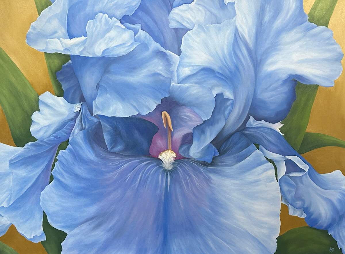 Blue Iris by Ann Travis 