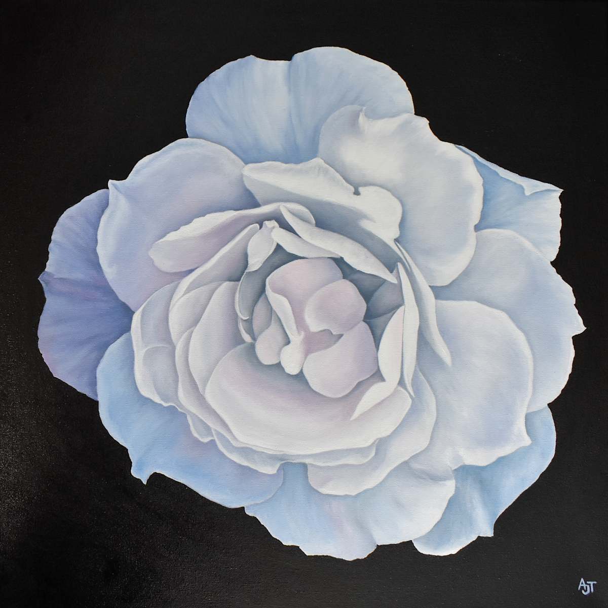 Light Reflected by Ann Travis 