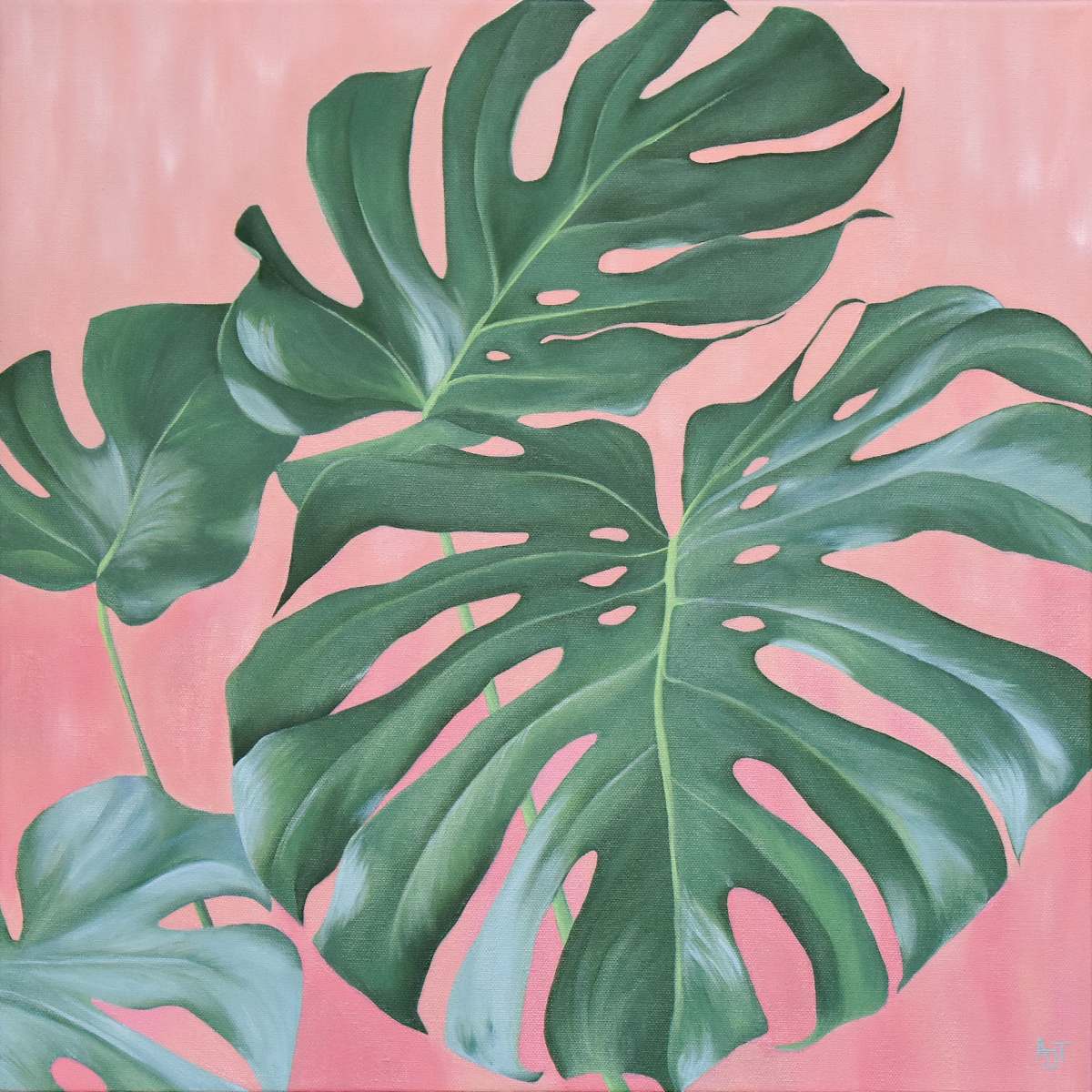 Monstera by Ann Travis 