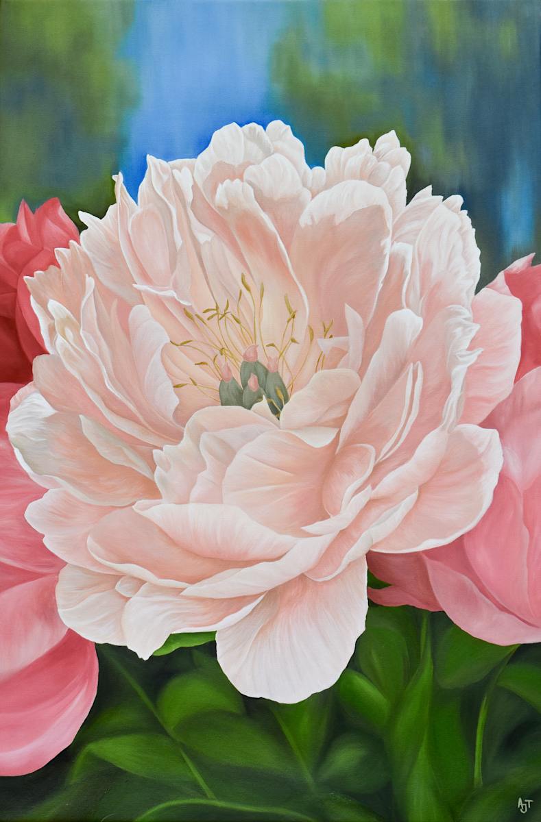 Peony Farm by Ann Travis 