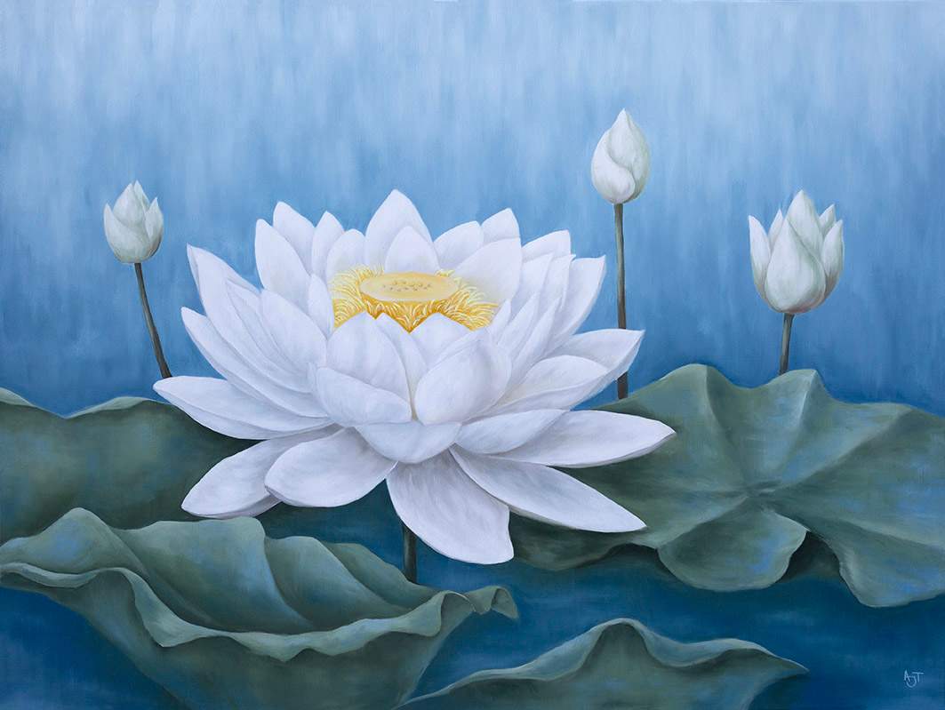 White Lotus by Ann Travis 
