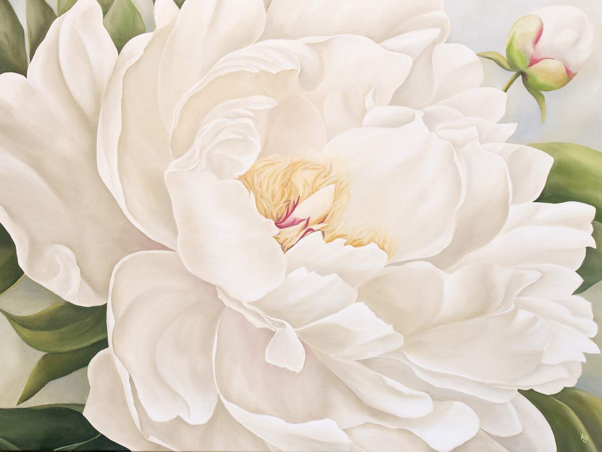 White Peony by Ann Travis 