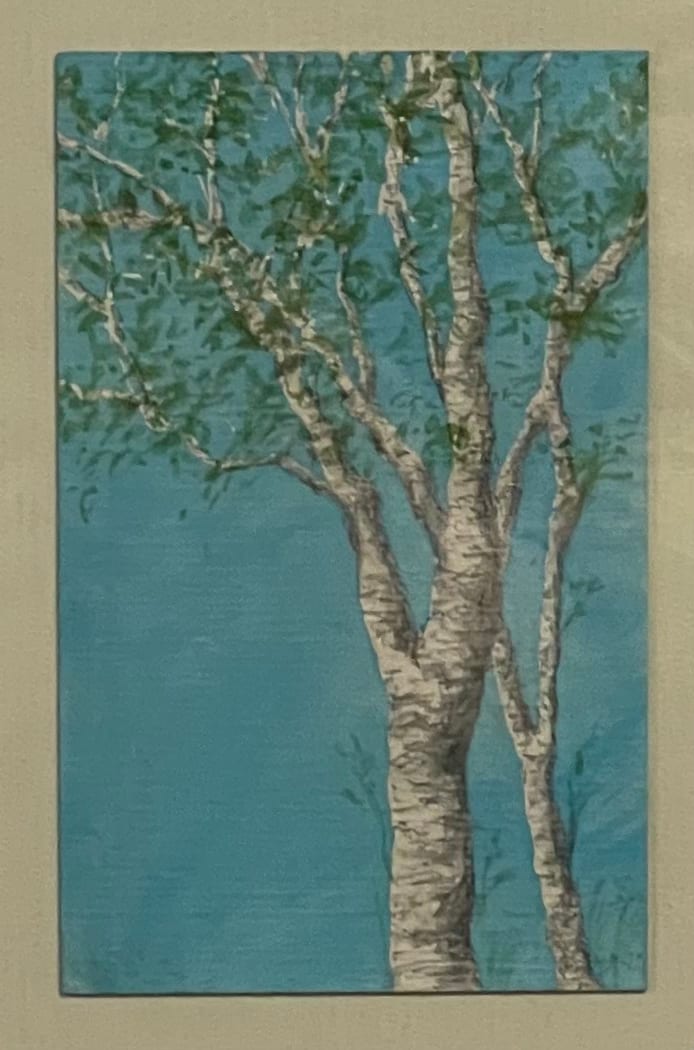 Early Spring Birches #2 