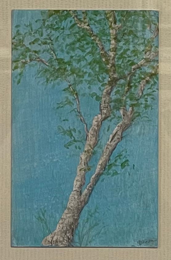 Early Spring Birches #3 