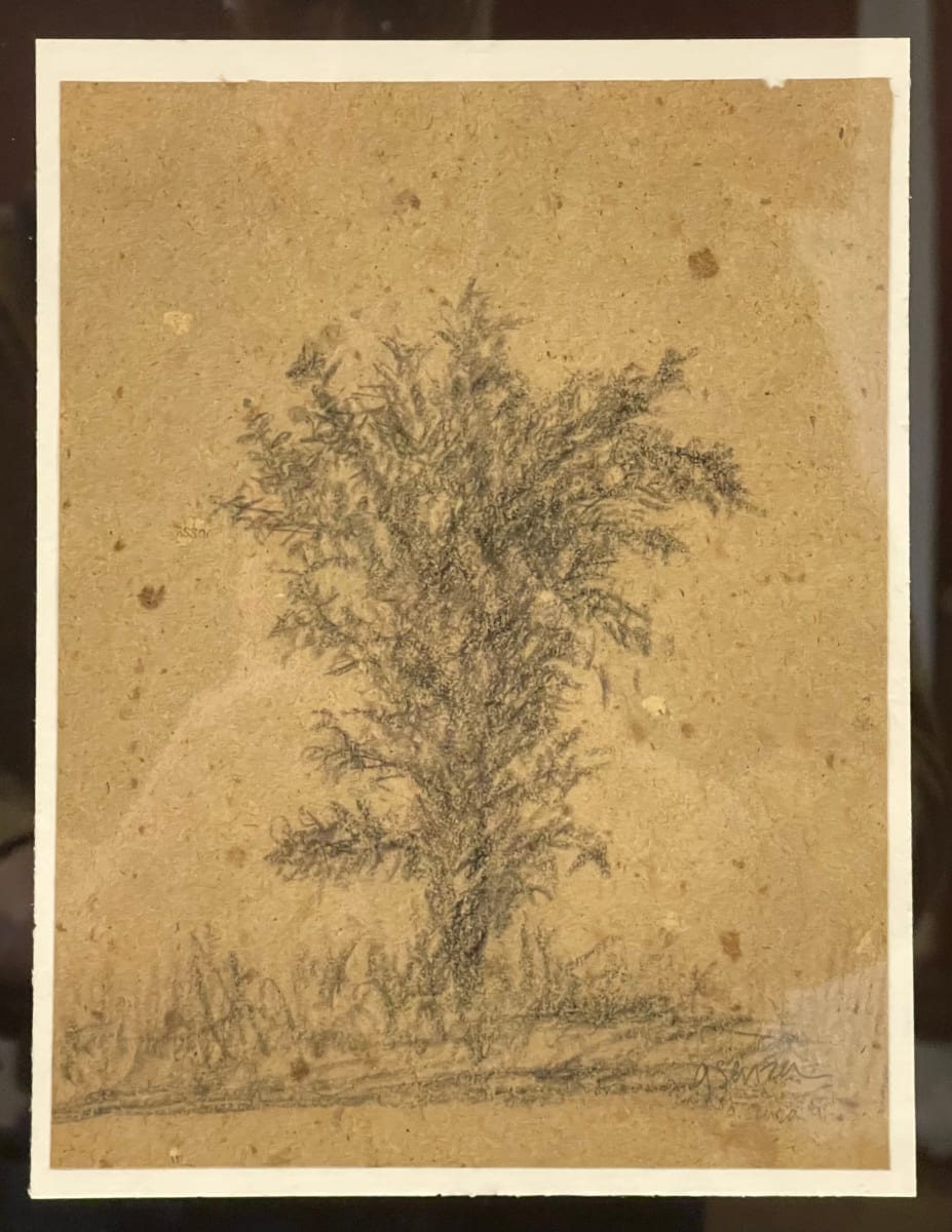Young Tree, Image 1.