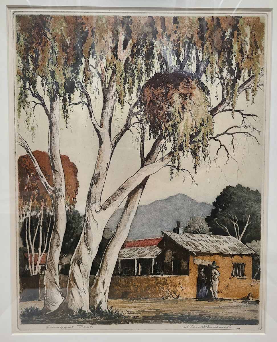Eucalyptus Tree by Leon Pescheret, Image 1.