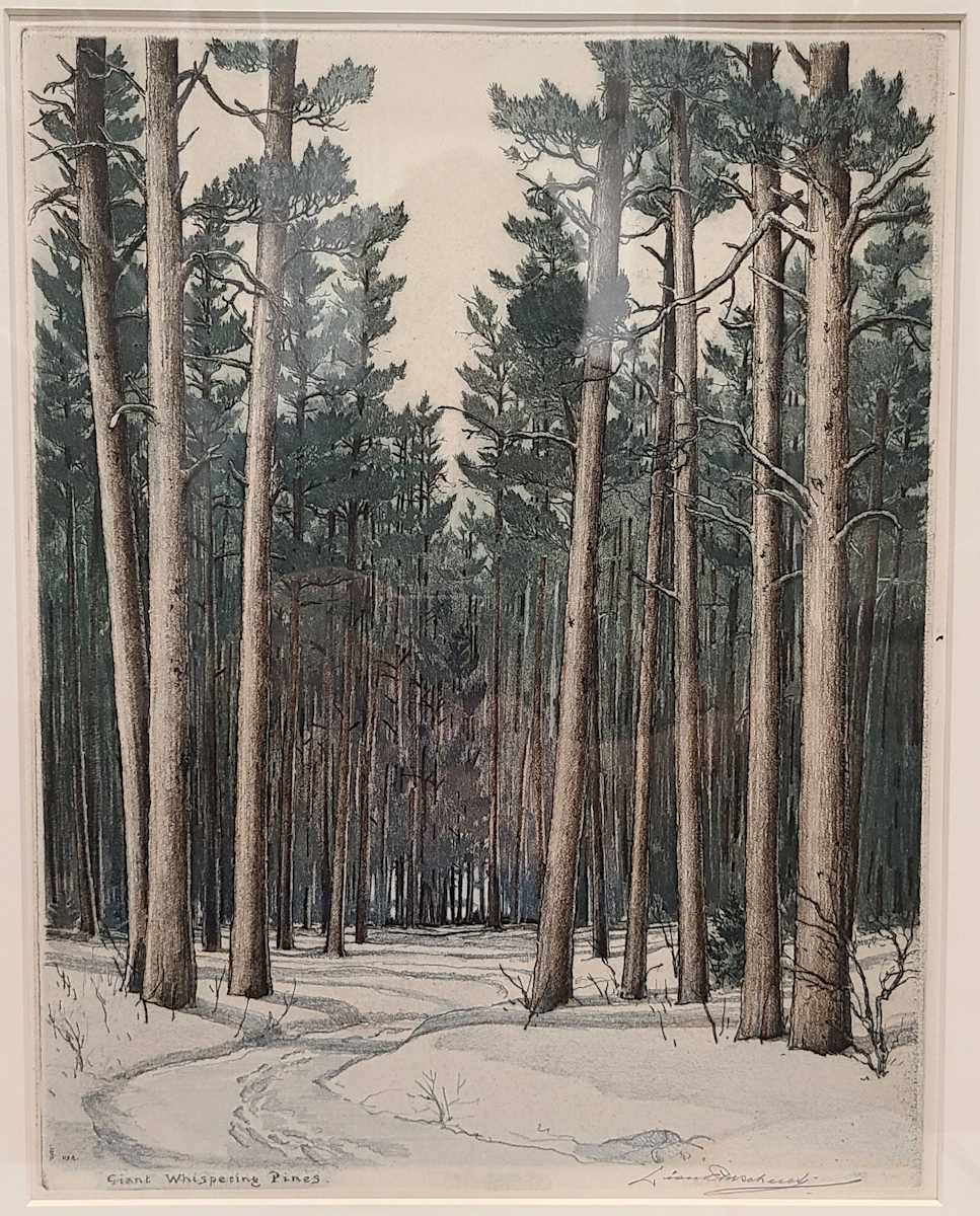 Giant Whispering Pines by Leon Pescheret, Image 1.