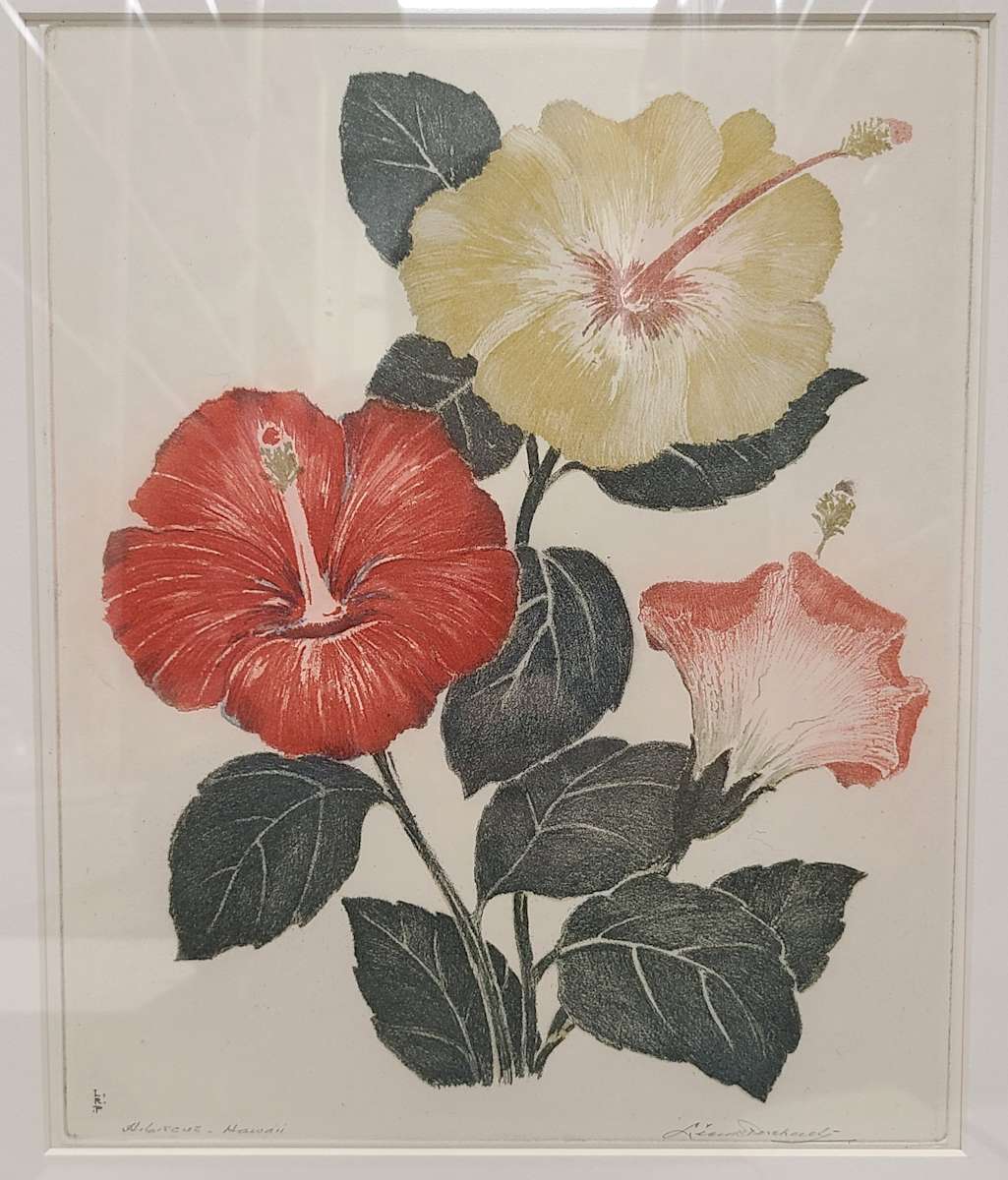 Hibiscus, Hawaii by Leon Pescheret, Image 1.