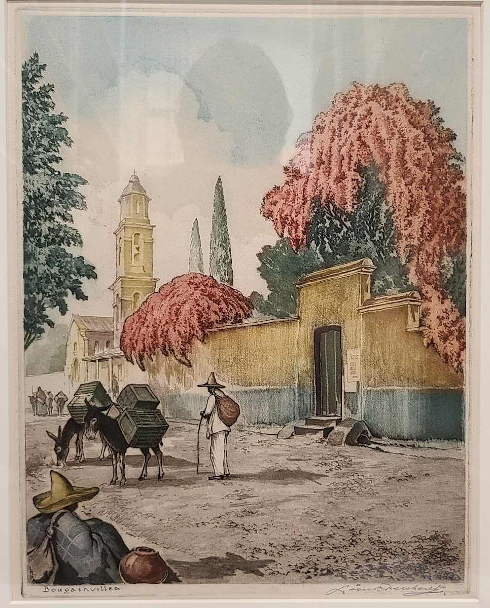 Bougainvillea by Leon Pescheret, Image 1.