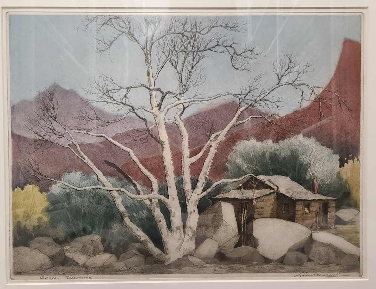 Canyon Sycamore by Leon Pescheret, Image 1.