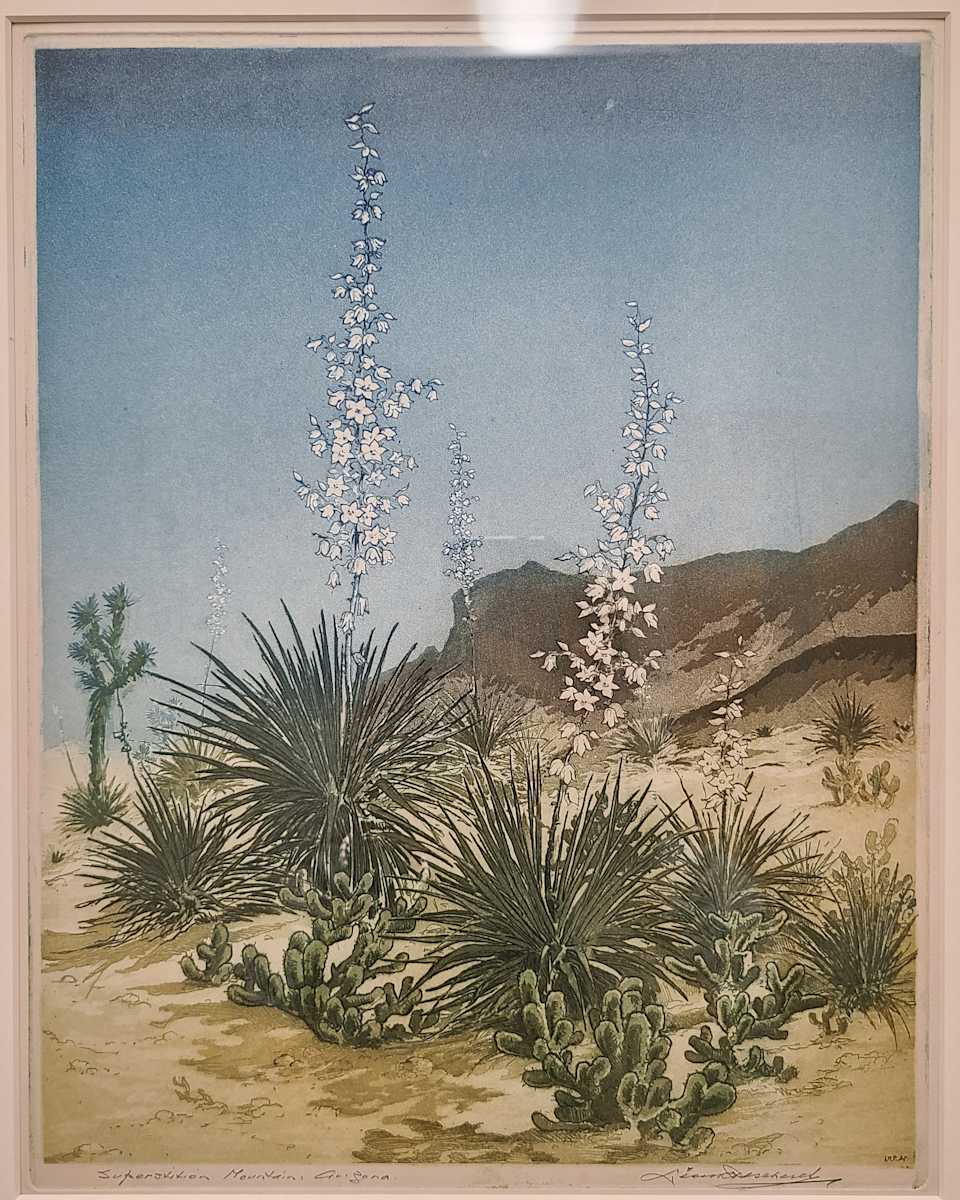 Superstition Mountain, Arizona by Leon Pescheret, Image 1.
