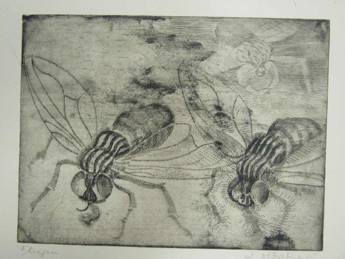 Fliegen (Flies) by Wilhem Höpfner, Image 1.