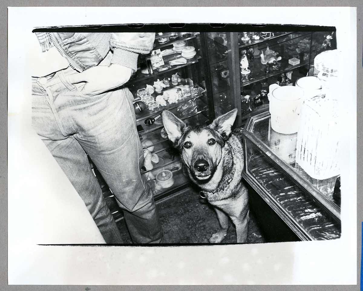 Dog by Andy Warhol, Image 1.