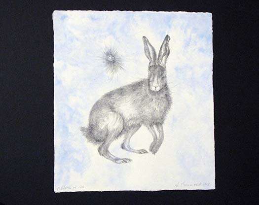 Hare by Valerie Hammond, Image 1.