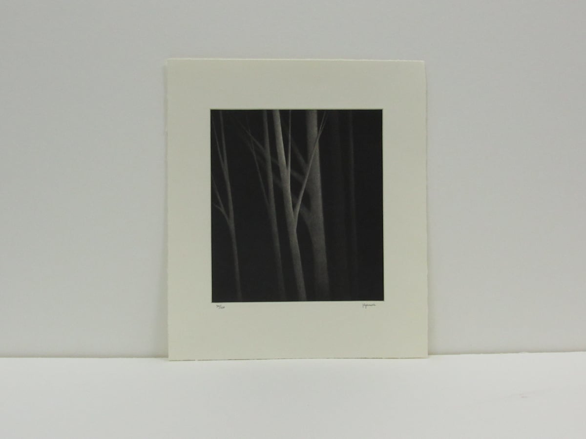 Incandescense II by Robert Kipniss, Image 1.