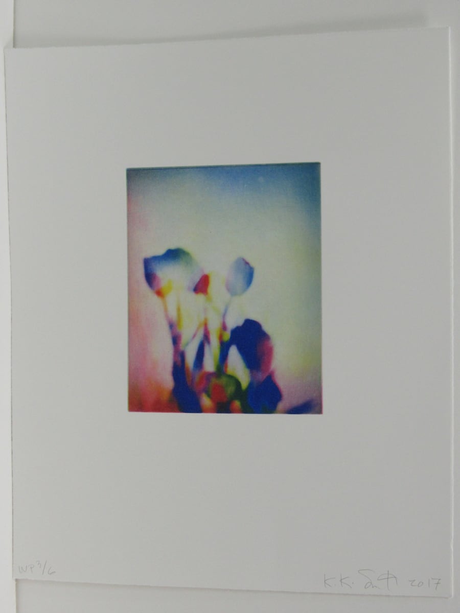 Tulips by Kiki Smith, Image 1.