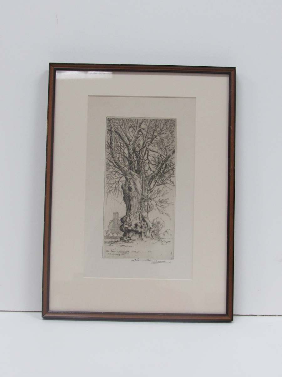 Old Paper Mulberry Tree, Williamsburg, VA by Leon Pescheret, Image 1.