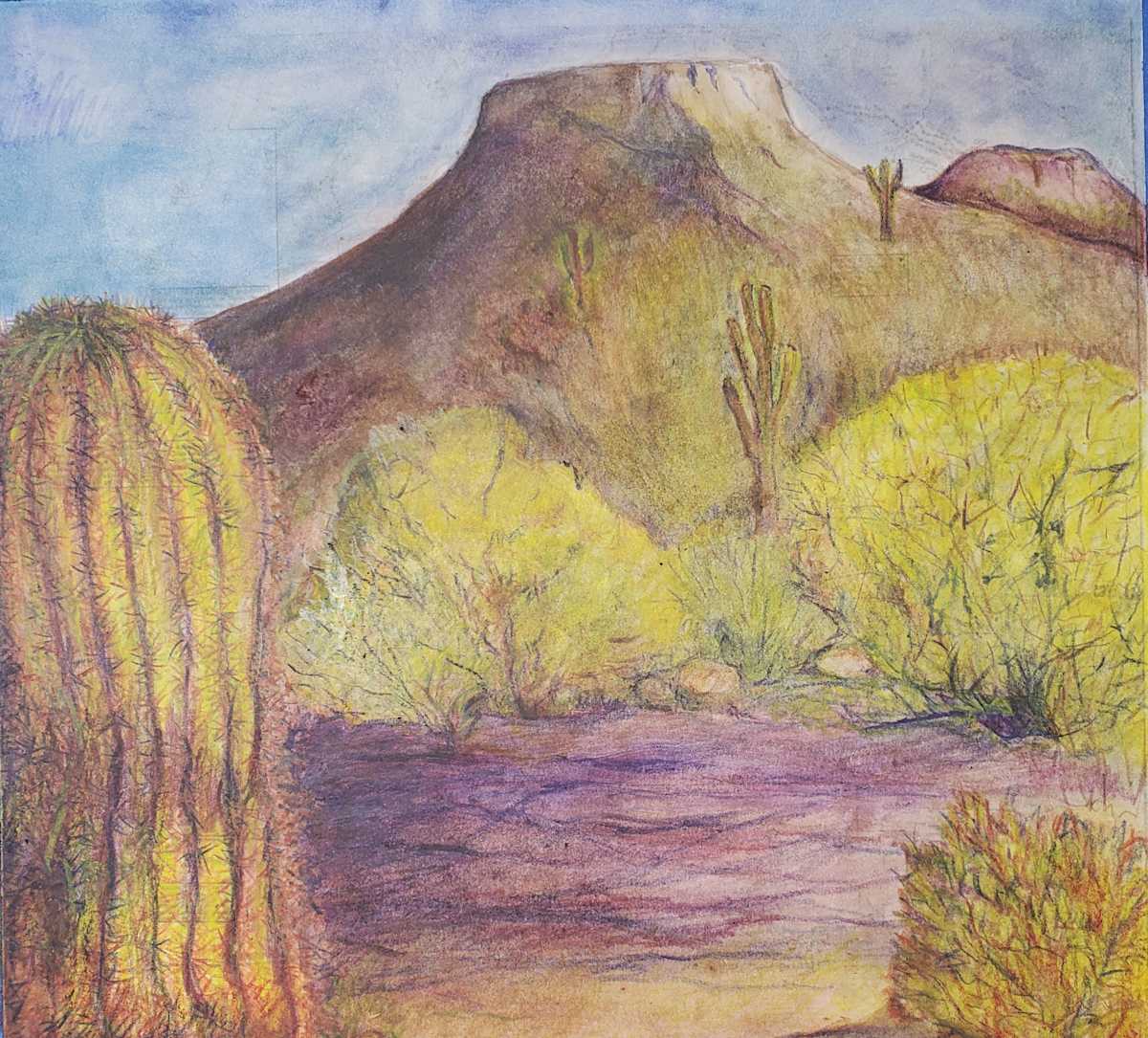 McDowell, Scottsdale Cactus by Jan Somers  Image: Drawn on the Map of the Trail McDowell, Scottsdale 
