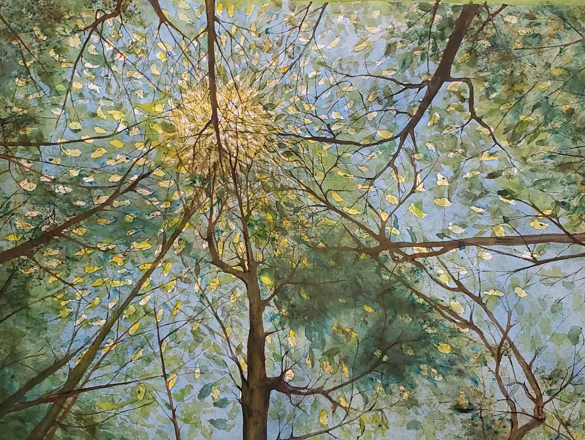 Looking Up by Jan Somers 