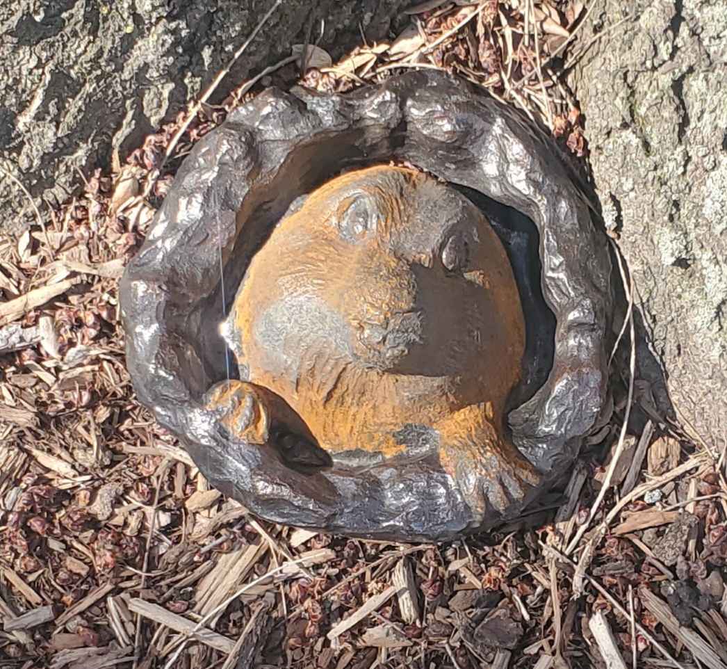 Ground Hog Willie by Jan Somers, Image 1.