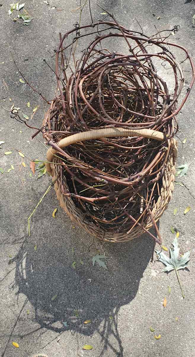 Grapevine Basket by Jan Somers, Image 1.