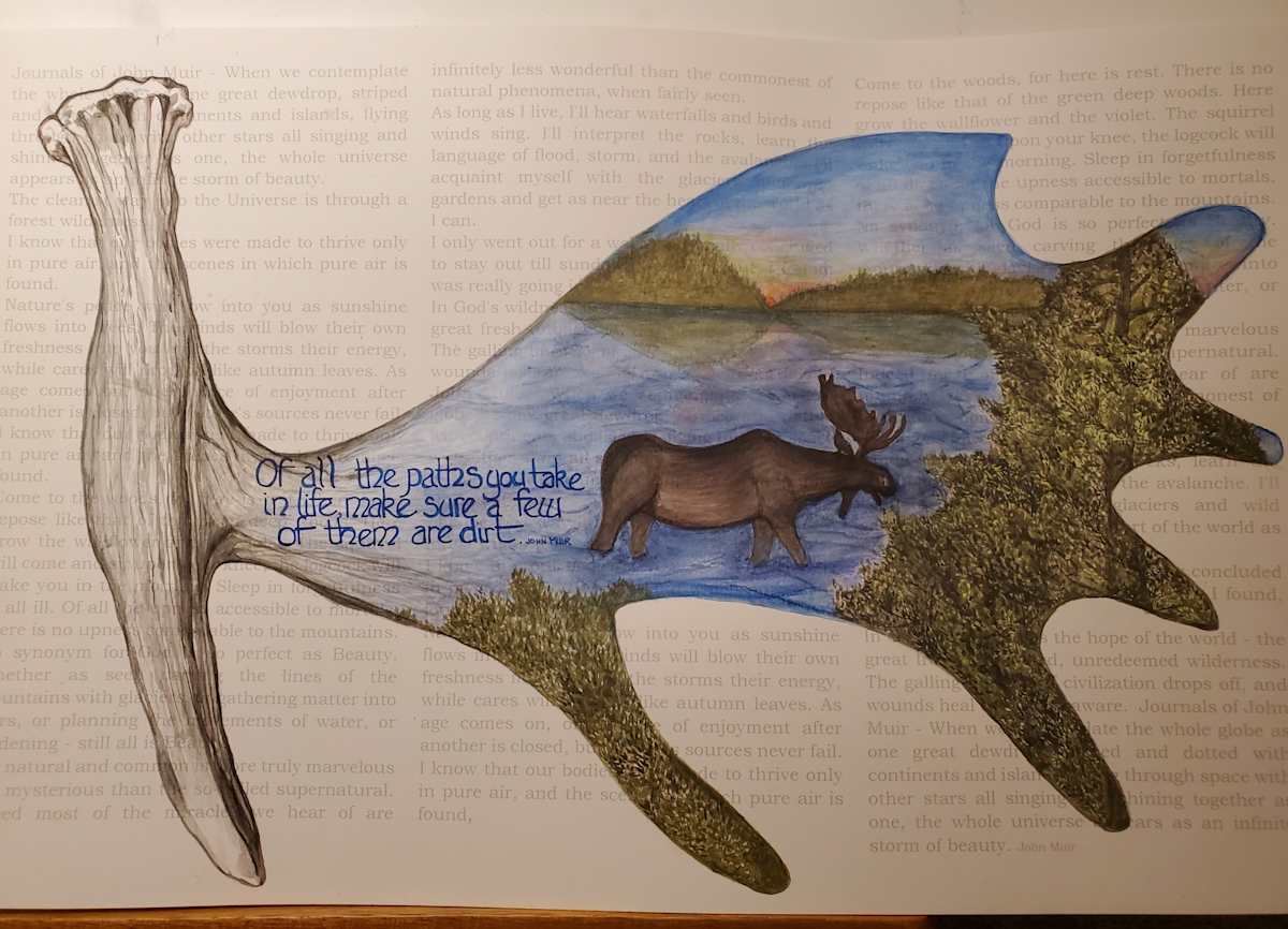 Moose Antler with Moose in Isle Royale over John Muir Quotes by Jan Somers  Image: "Of all the paths you take in life, make sure a few of them are dirt".