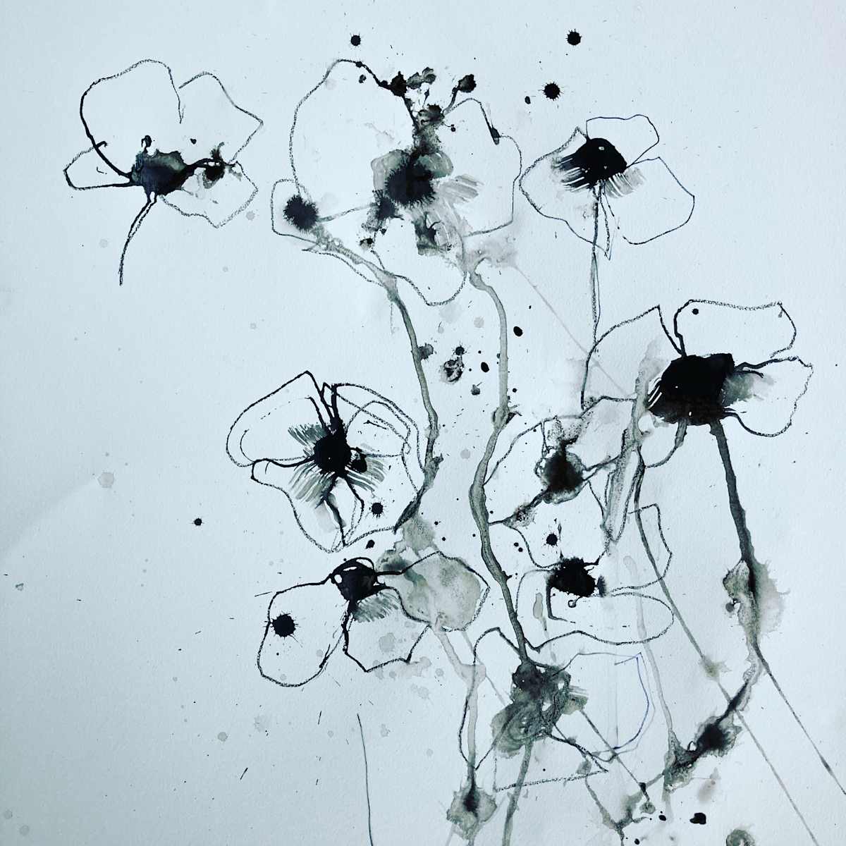 Poppies by Patricia Coughlin 