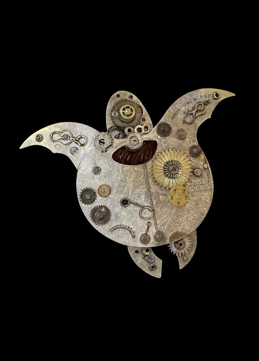 The Sea Turtle Drake by "Kaveka", Image 2.