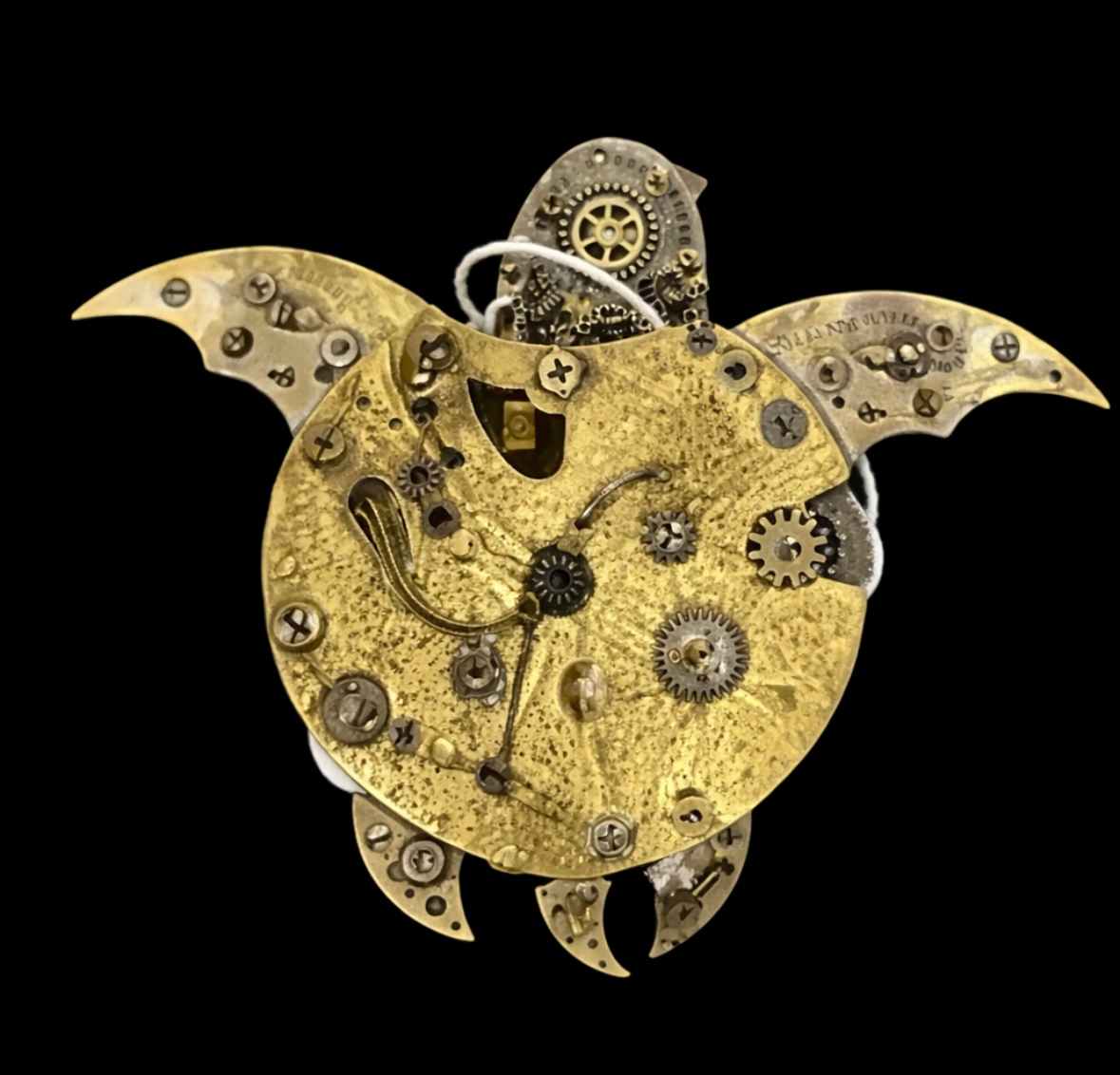 The Sea Turtle Nicolas by "Kaveka", Image 2.