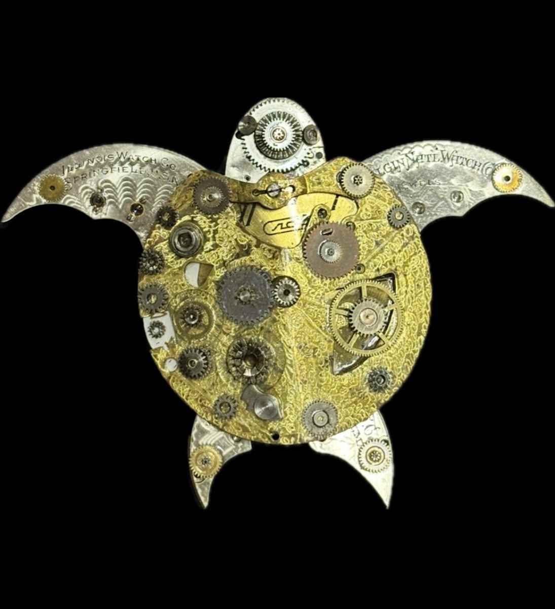 The Sea Turtle Goncalo by "Kaveka", Image 1.