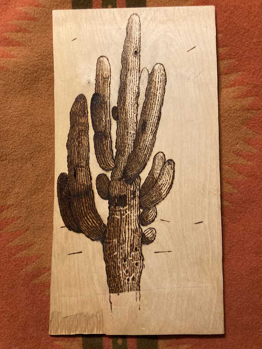 W'sup JP saguaro by Heart of the Sun Gallery 