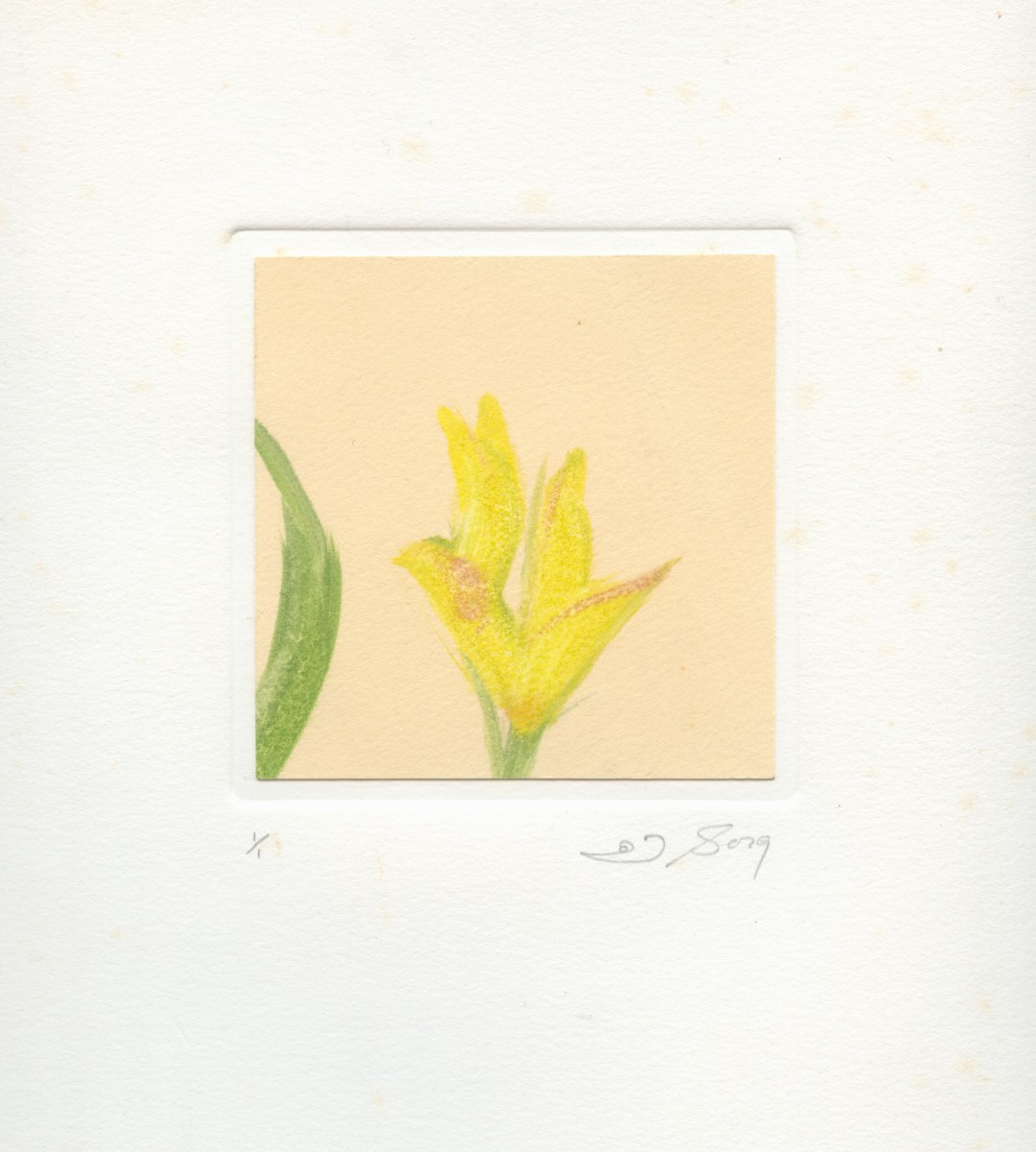 Untitled by Joe Borg 