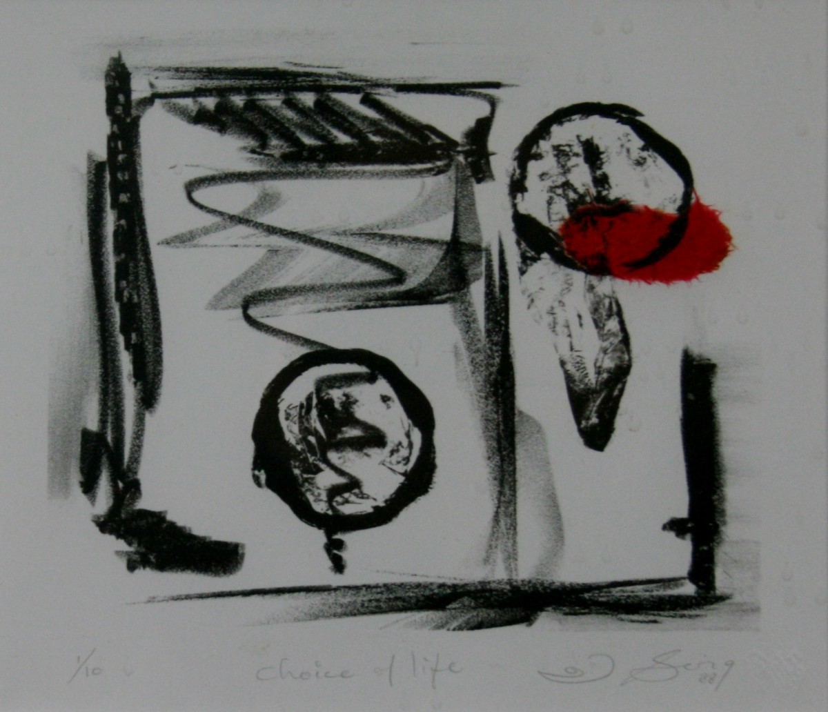 Choice of Life by Joe Borg 