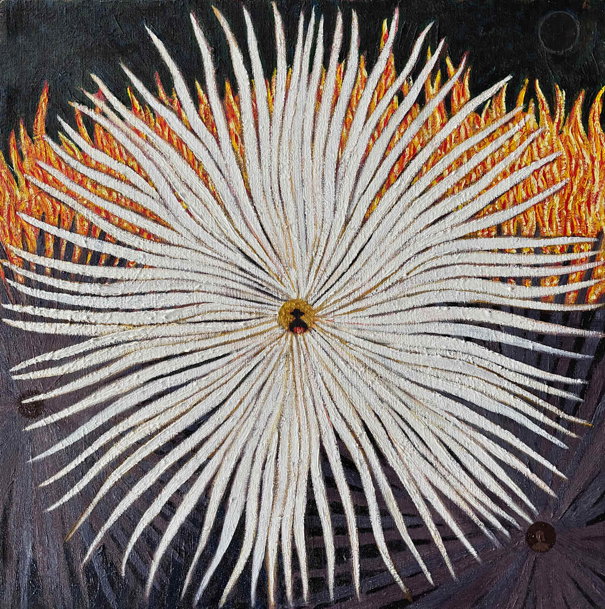 Night bloom with New Moon by Francis Pavy 