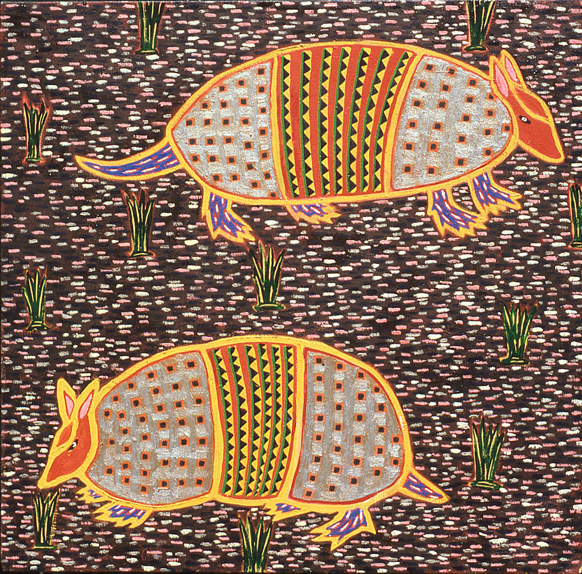 Armadillos by Francis Pavy 