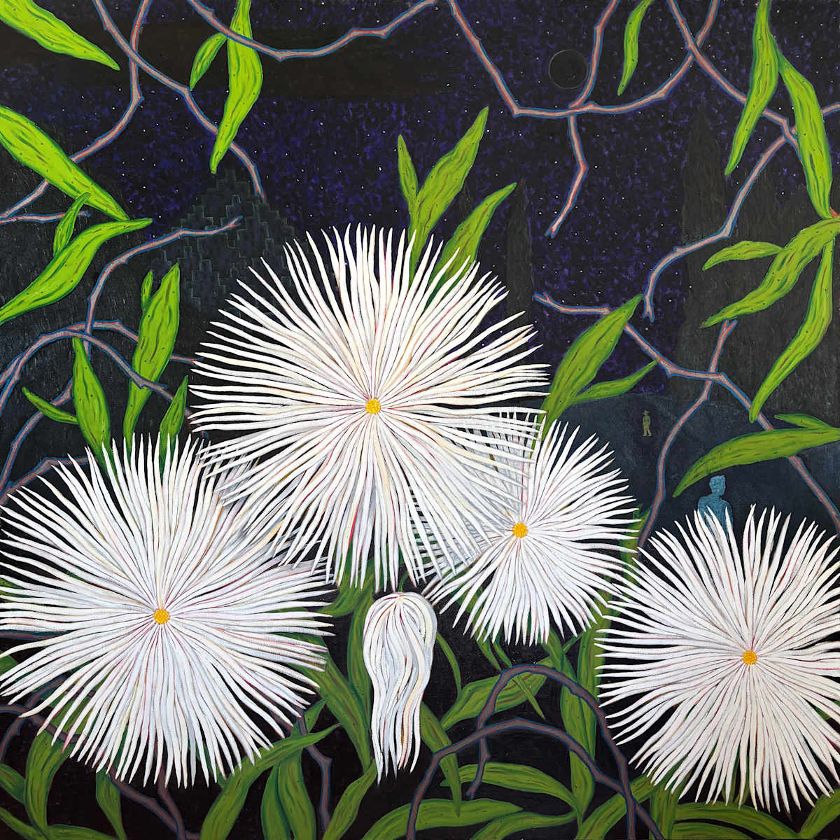 Night Blooms by Francis Pavy, Image 1.