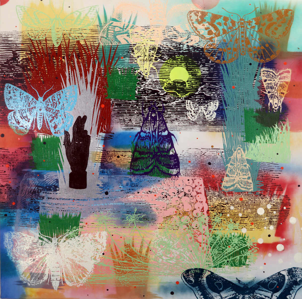 THe Moth where your heart Should be by Francis Pavy, Image 1.
