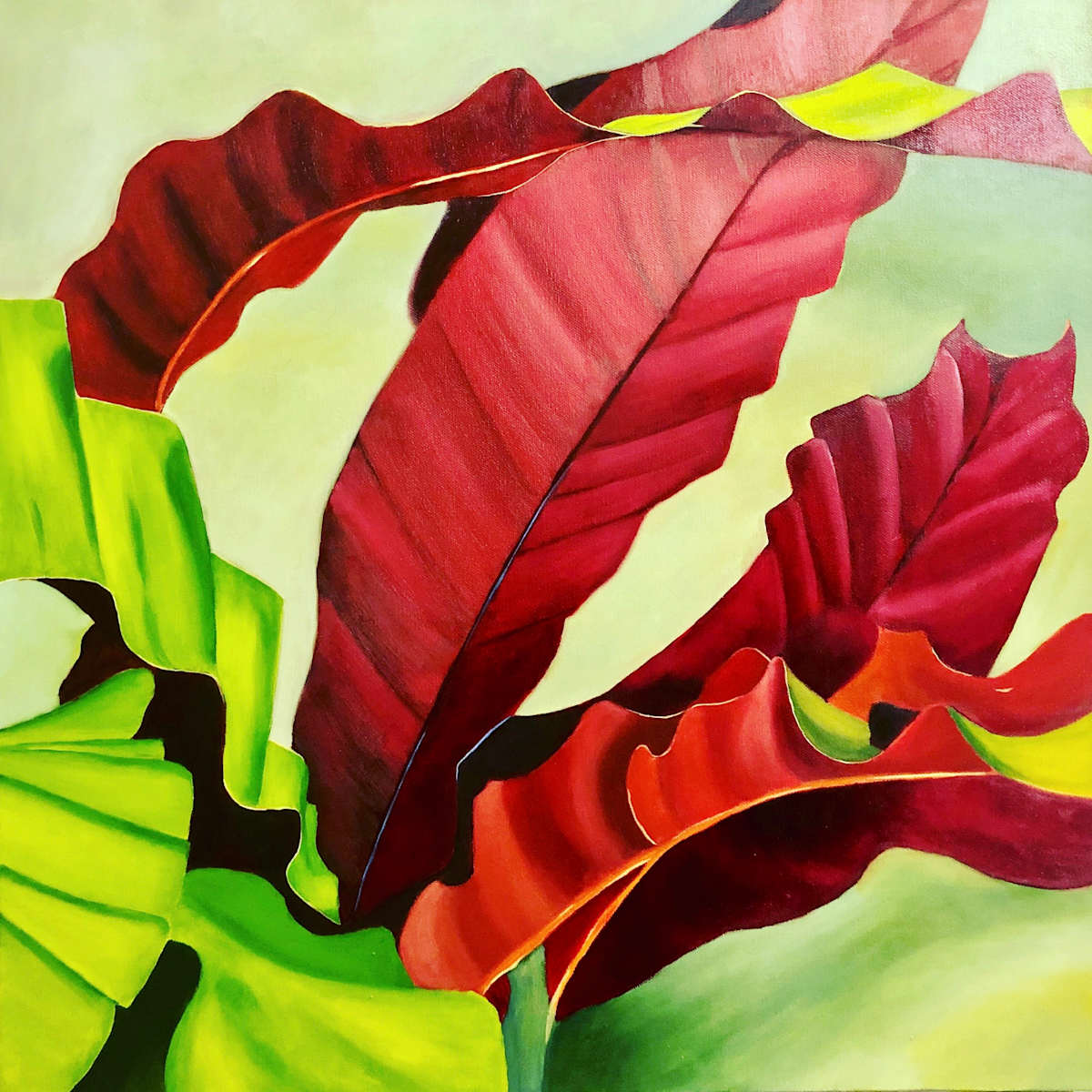 Dancing Reds by Kalika Antao 