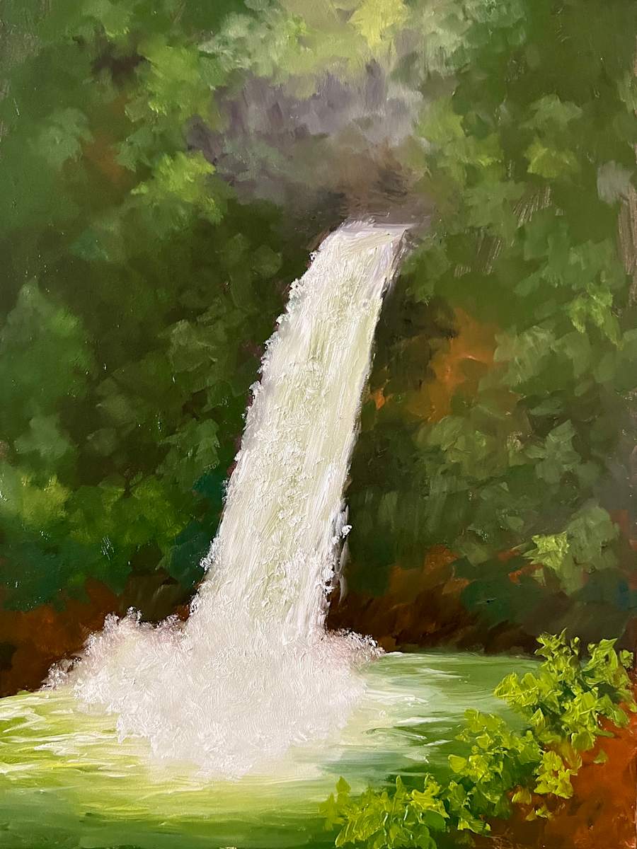 La Paz Falls by Kalika Antao 