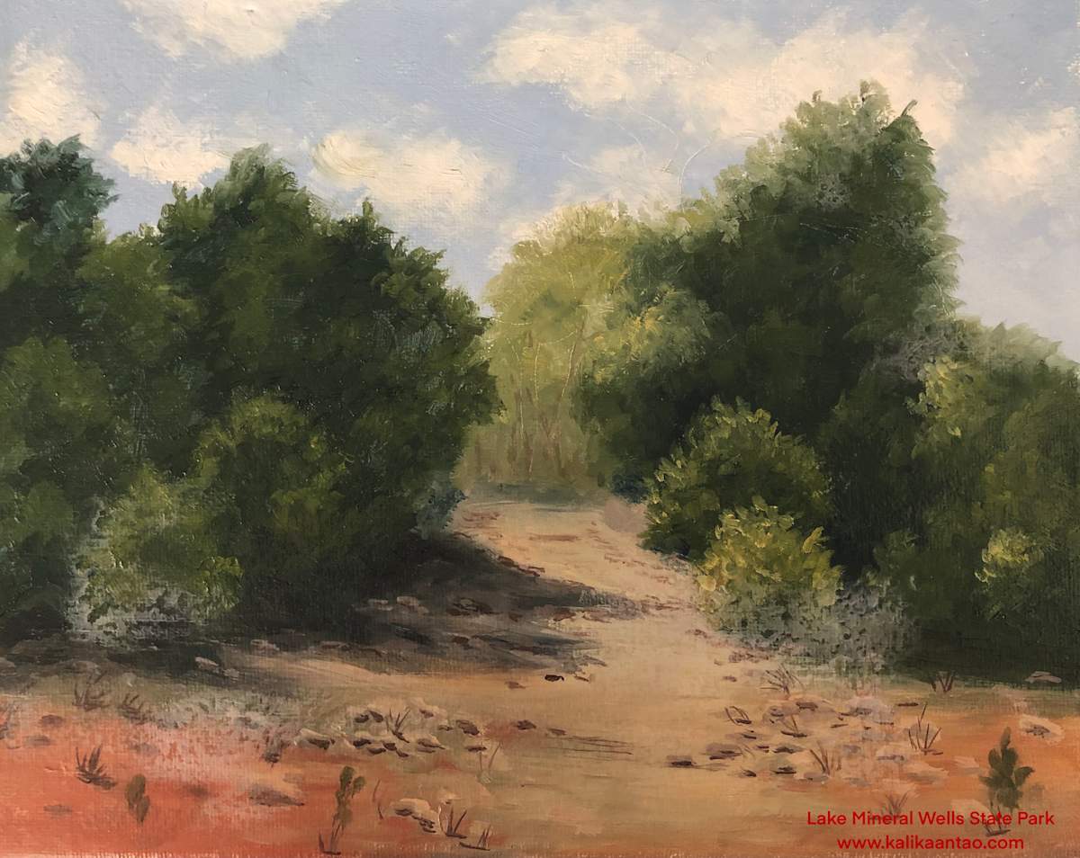 Mineral Wells by Kalika Antao 