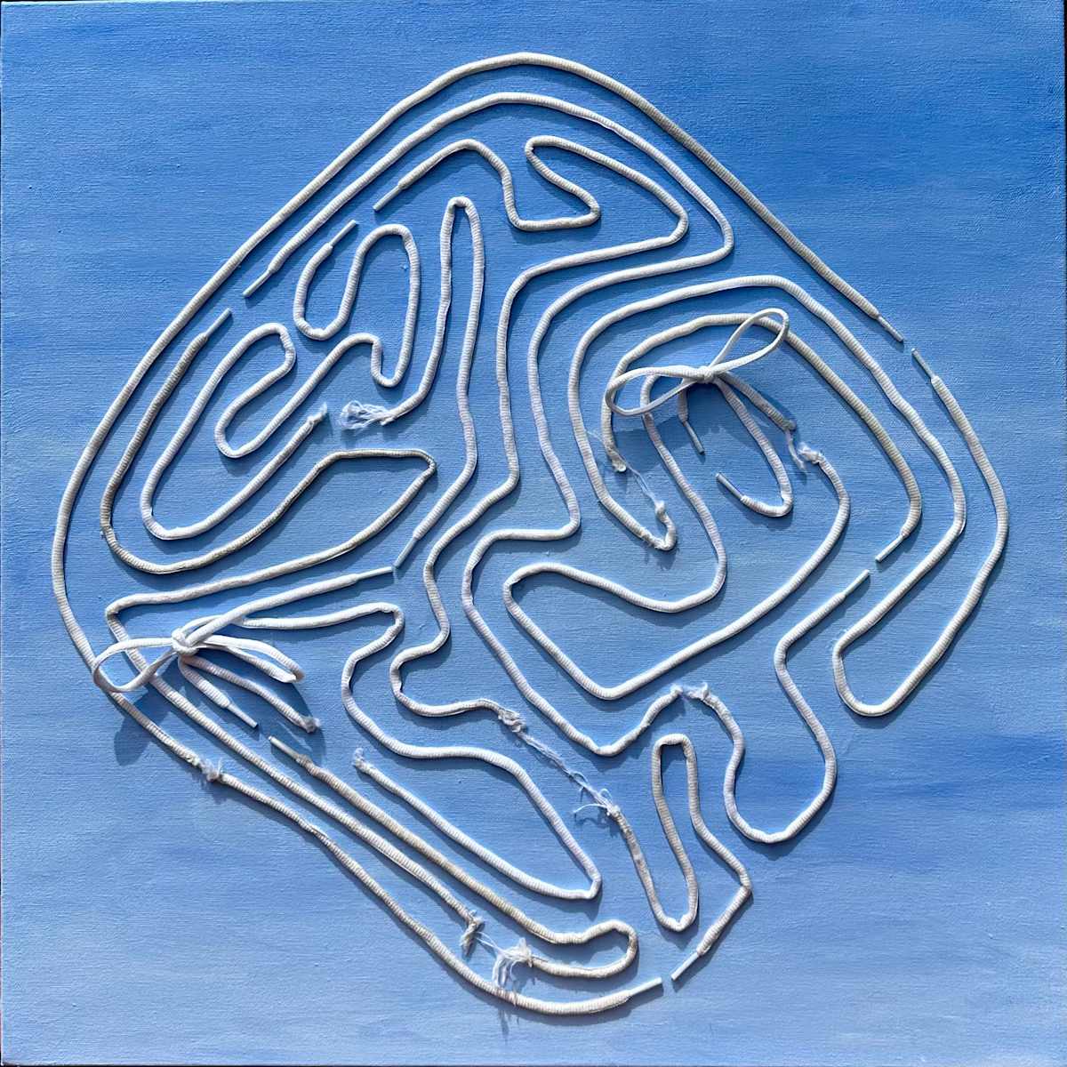 17 Shoelaces by Mayme Killeen - Friedreich's Ataxia, Image 1.