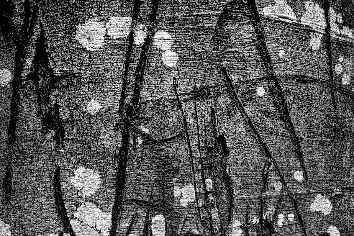 After battle 1 by Kjeld Smed 