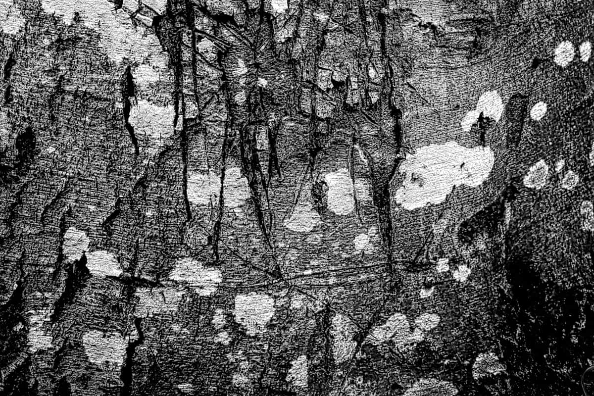 After battle 3 by Kjeld Smed 