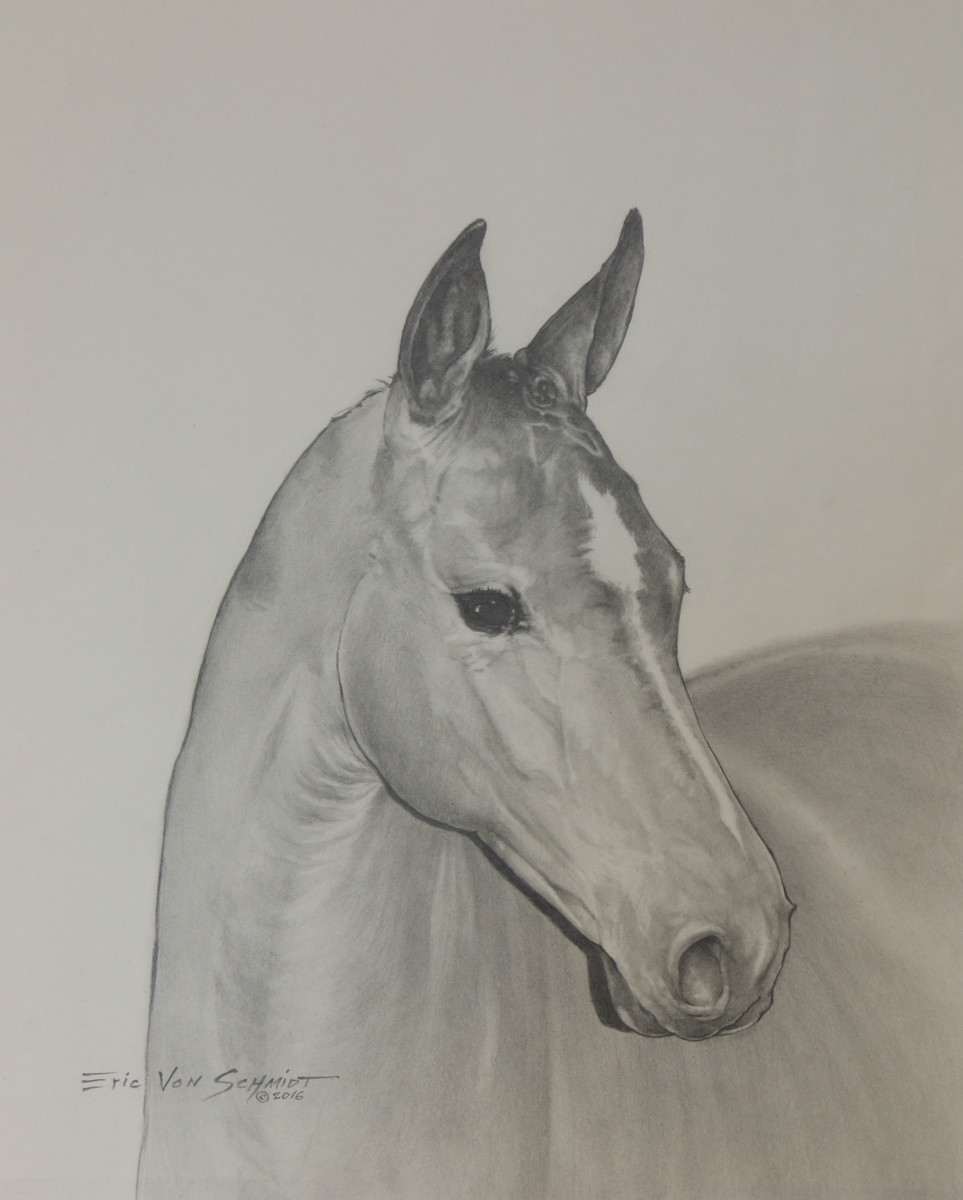 HORSE by Eric Von Schmidt 