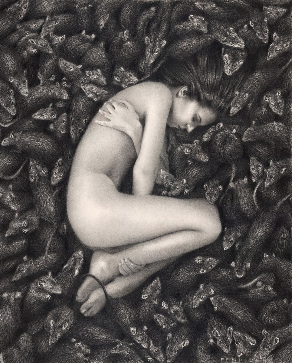 The rat bed by Penrider (Carlos Fdez) 
