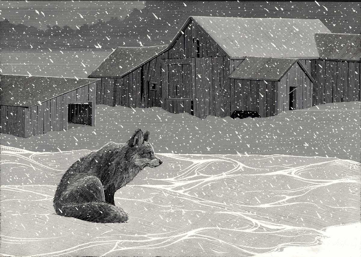 IX. Coldly infinite in its finality by Calvin Laituri, Image 1.