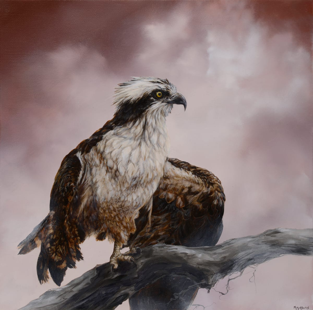 Ahab by Brian Mashburn 