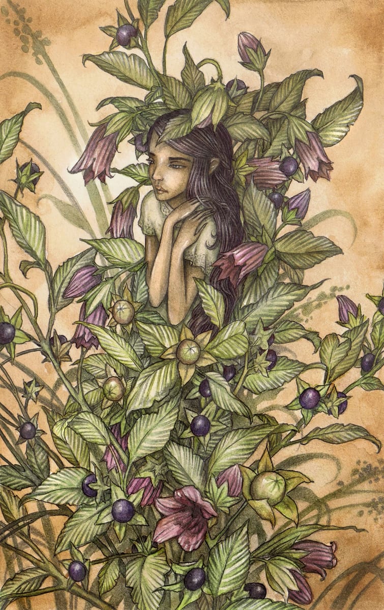 Belladonna by Adam Oehlers 