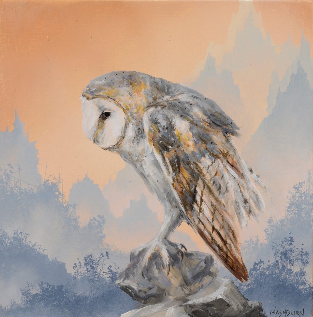 Barn Owl Study by Brian Mashburn, Image 1.