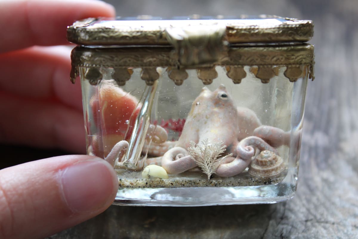 Bottled Recollections by Alexis Savopoulos 